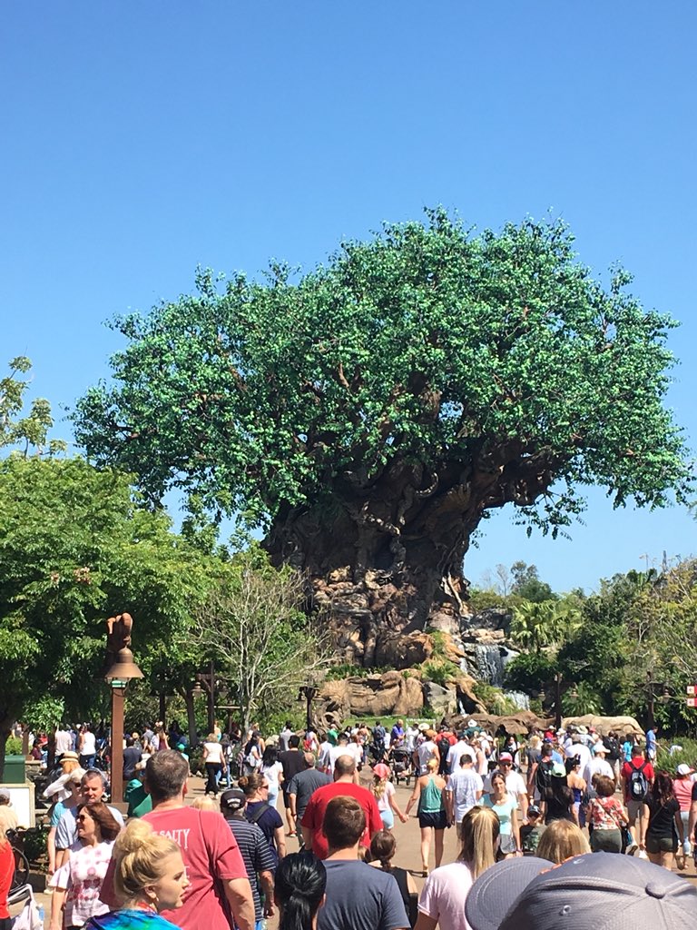 MRMSBands (@mrmsbands) on Twitter photo 