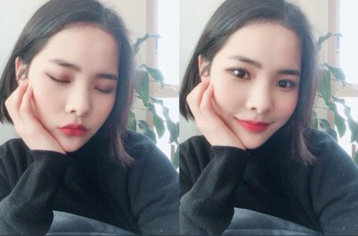 the prettiest flower petal