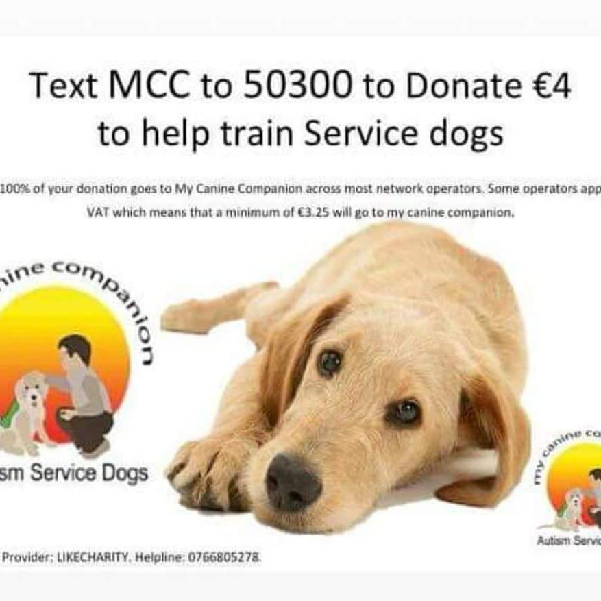 Darcey will make her <a href="/mycaninecompani/">My Canine Companion</a> maiden appearance <a href="/atLiffeyValley/">Liffey Valley</a> tomorrow. Come say hi