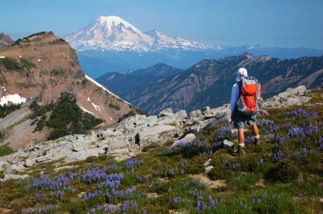 travelrealize's tweet image. RT @DK_Travel 
Spellbinding #travelpics of the Pacific Northwest. #USAhttps://twitter.com/DK_Travel/status/979071965297332224

#travel #travelpics #ttot