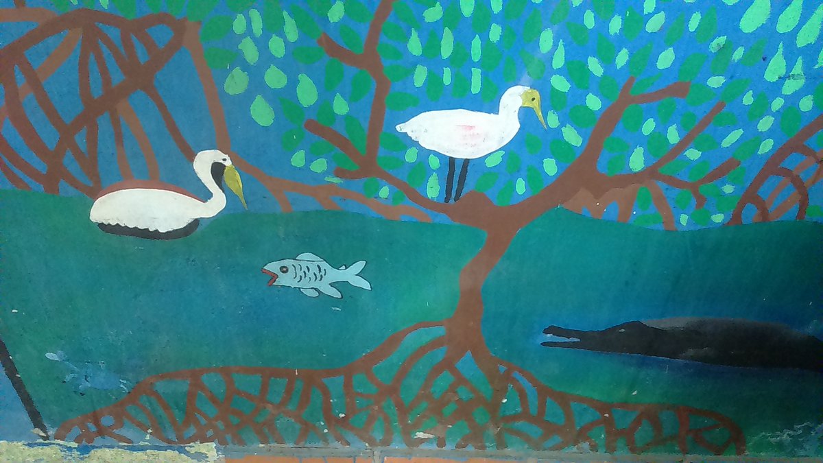 Manglares360's tweet image. Can we help a sinking town and revert decades of poor planning. I hope so.  Teaching kids about #humanitarianmapping, #bluecarbon, #climatechange, #ecosystemservices