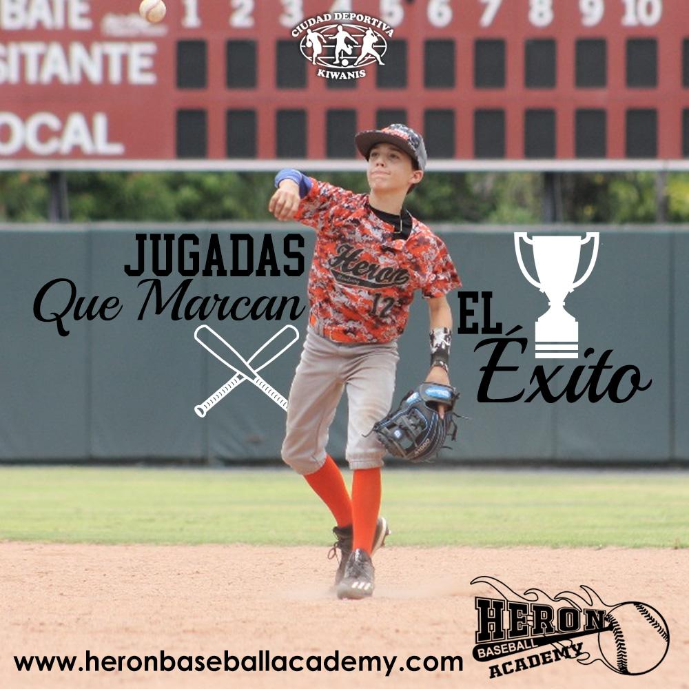 heronbaseballacademy tweet media