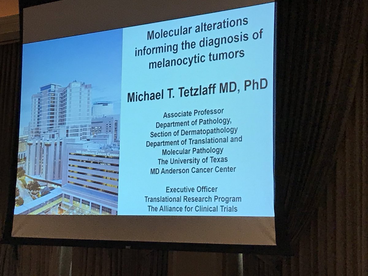 mreyesm's tweet photo. Dr Tetzlaff speaks about molecular #Pathology of melanocytic lesions. At the #HSCP2018 #DermPath https://t.co/W17i7GqBLd