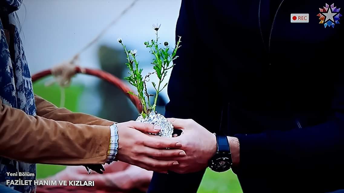 كل تفكيري في النبتة لانها لازم تتغرس حتى تنمو لانها نبتة حبنا و النبتة دايما دليل على الحياة 
#varmısın #ÇağlarErtuğrul #ÇağlarErtuğrul #FaziletHanimVeKizlari