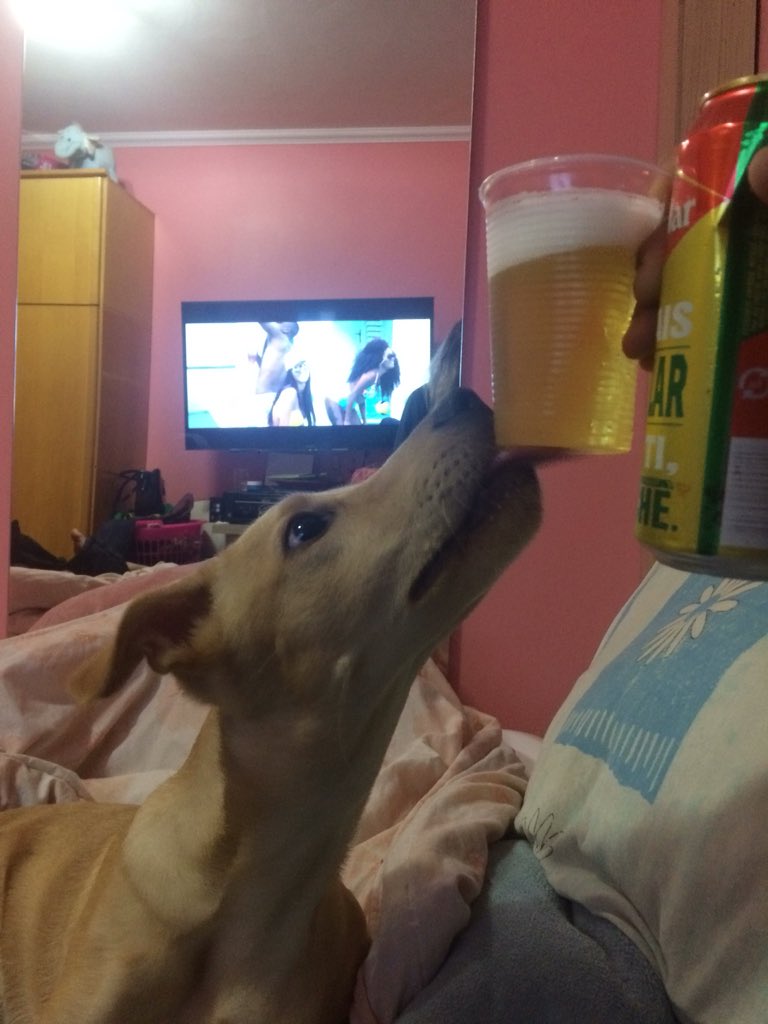 yanwesley9's tweet image. De copao na mão kkkkkk