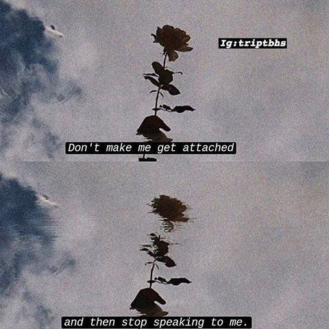Trippy Quotes Trppy Quotes 11 Twitter Trippy Quotes Trppy Quotes 11 Twitter