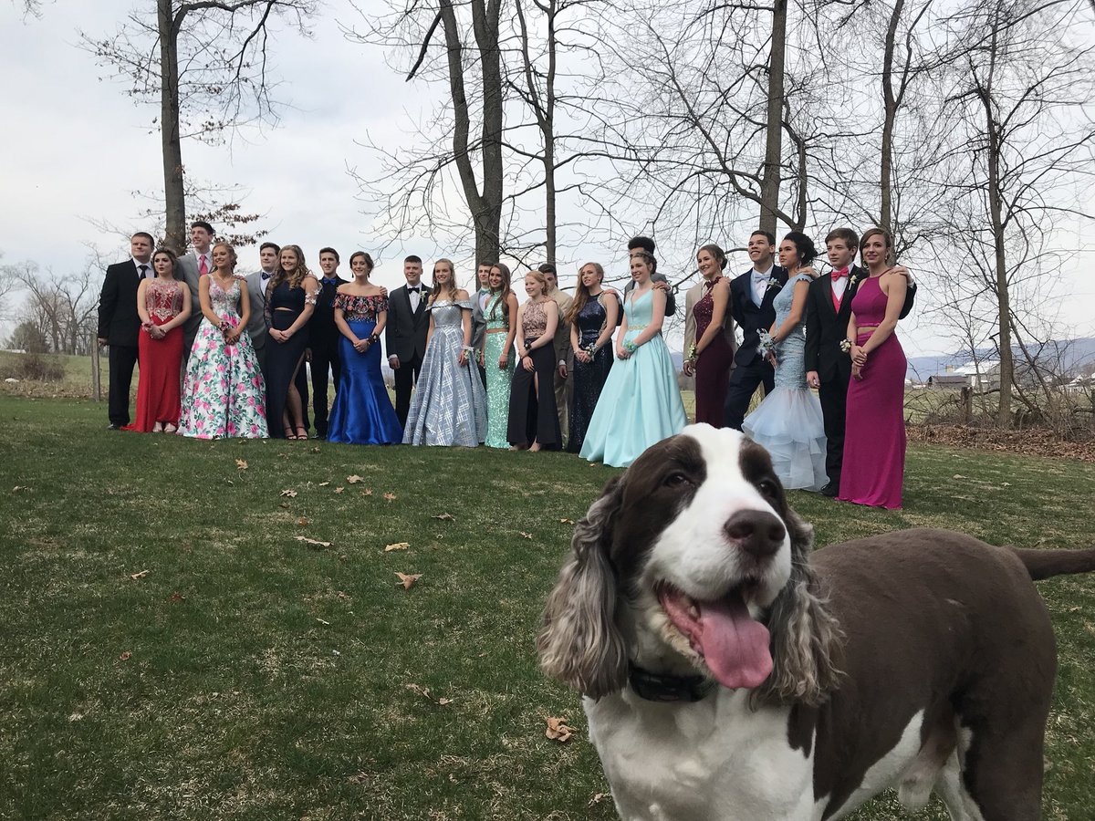 j_wrightt23's tweet photo. Probably the best photo to come from today’s prom https://t.co/KaM3BBnE9X