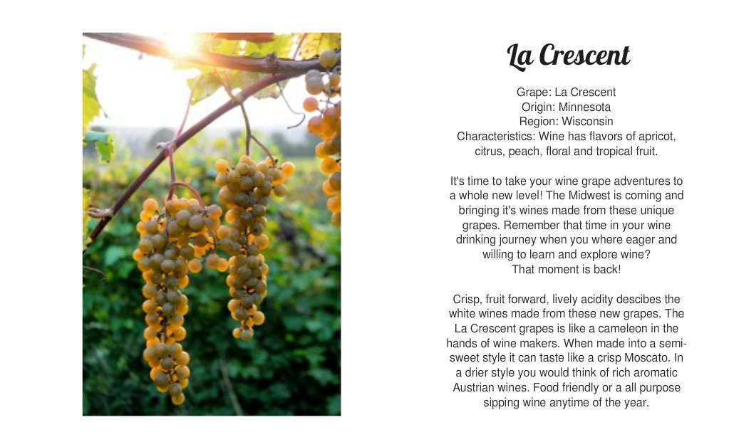 VinoDiscoveries's tweet photo. Day 2 Get To Know The #Wine Grapes of #Wisconsin and the #Midwest #LetYourPalateBeTheGuide #winelovers #winelife #winetasting #WisconsinWines #WisconsinWineGuy #WisconsinWineTalk https://t.co/NE5wMDiCUS