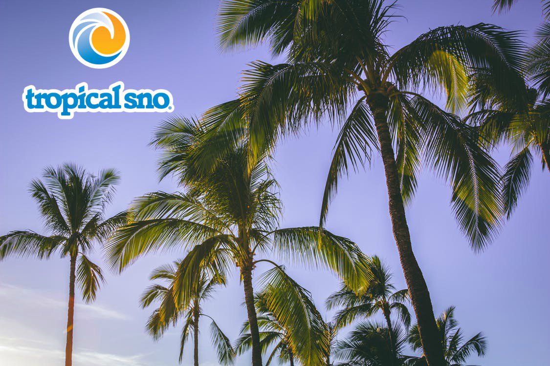 Tropical Sno tweet media