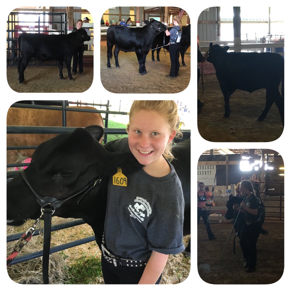 PVMSFFA's tweet image. Having fun at the Hernando County Fair!