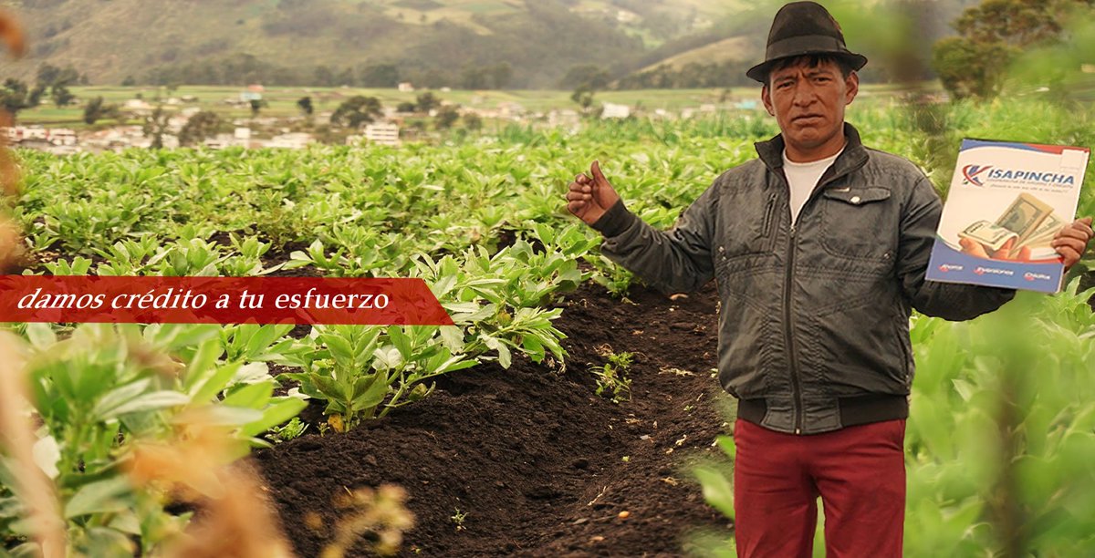 coackisapincha's tweet photo. Para que el esfuerzo de toda una vida siga creciendo, te ofrecemos el microcrédito Solidario https://t.co/2Sfy14orGz
#coacKisapincha, #MasAllaDeTusSueños https://t.co/mo0Jr5kog6