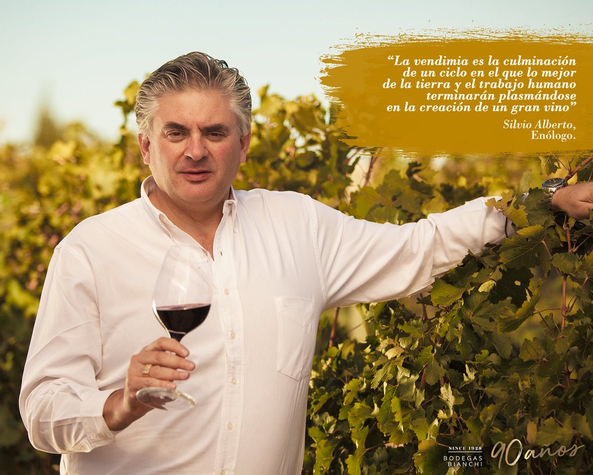 La cantidad adecuada de vino en una copa es esencial para disfrutar al  máximo de sus aromas y sabores. Cada vino tiene su tipo de copa y en cada  copa se debe, image size:1200x960