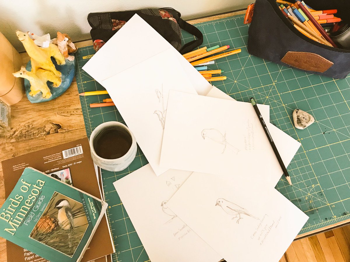 ABuckvold's tweet image. Dreaming birds... #Minnesota #MinnesotaBlizzard #MinnesotaSpring #April2018