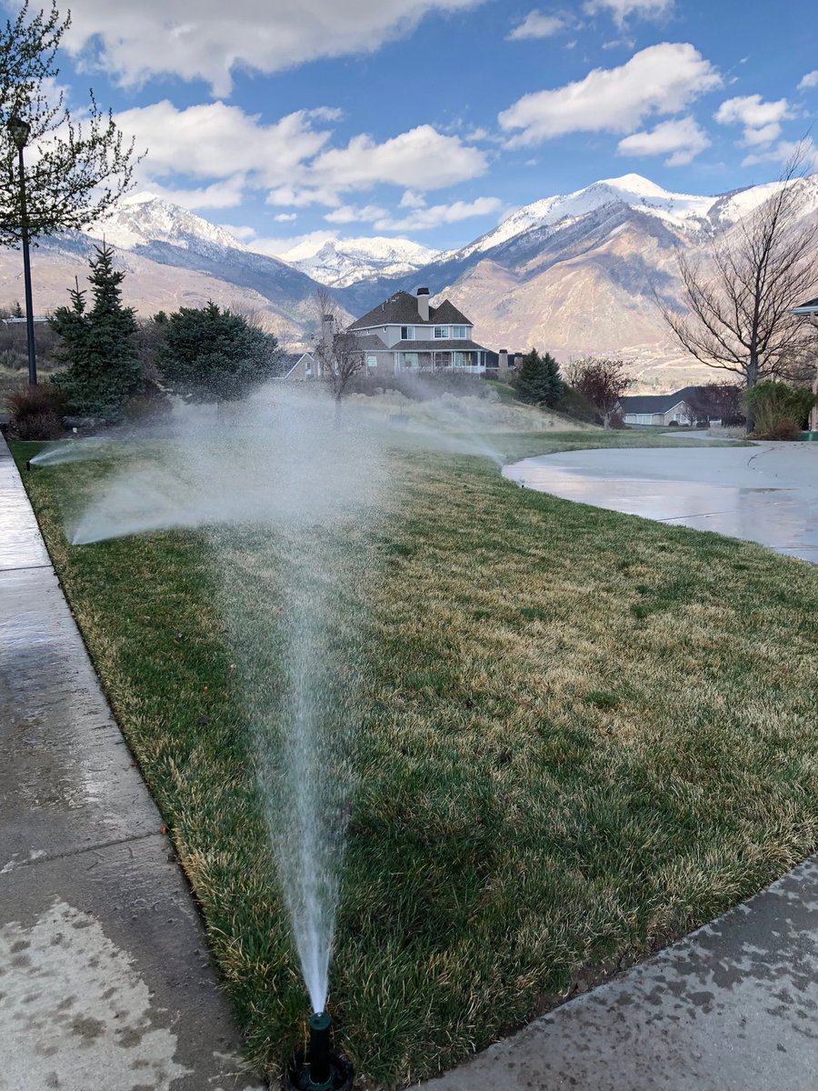 That time of the year again - adjusting sprinklers to wake up the lawn 👍🏻