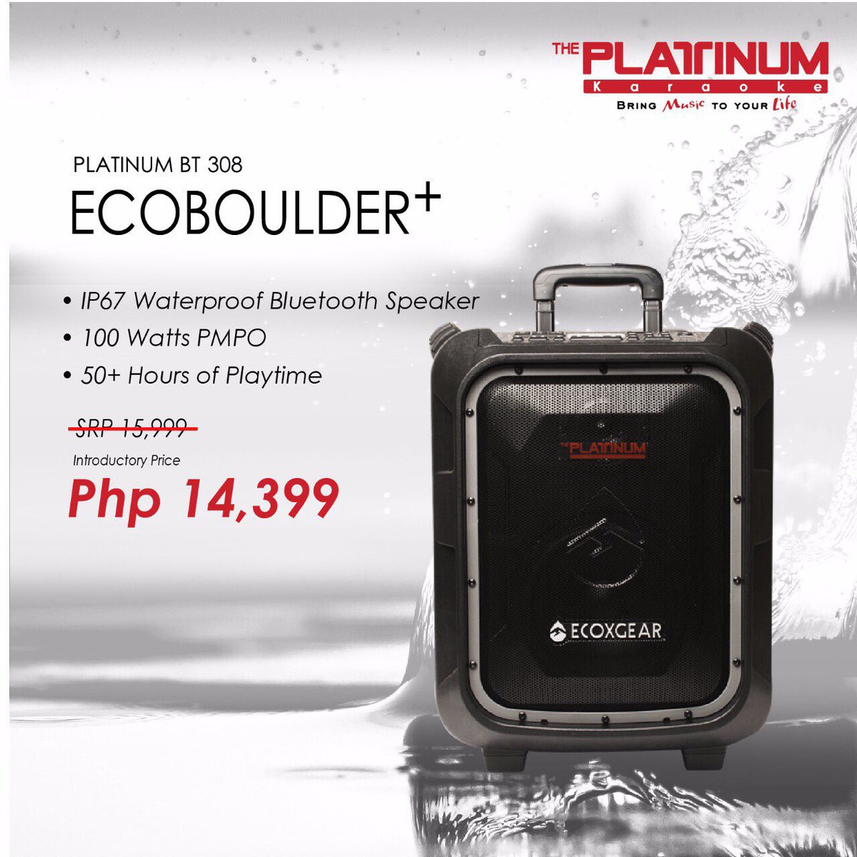 platinum karaoke with speaker price