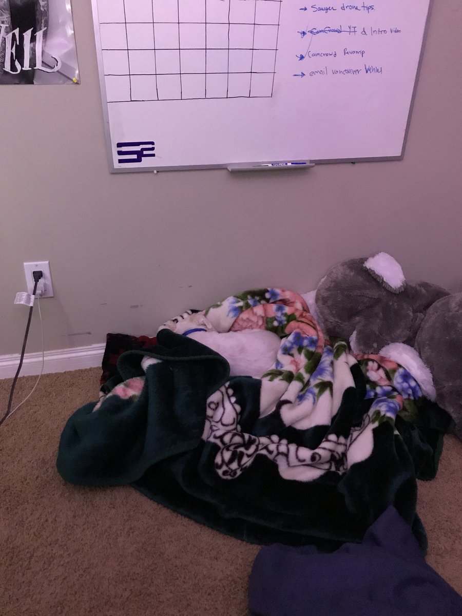 SoaRCoop's tweet photo. Bruh I be snoooozin soooo guud 😴 https://t.co/h81ihdqUZE