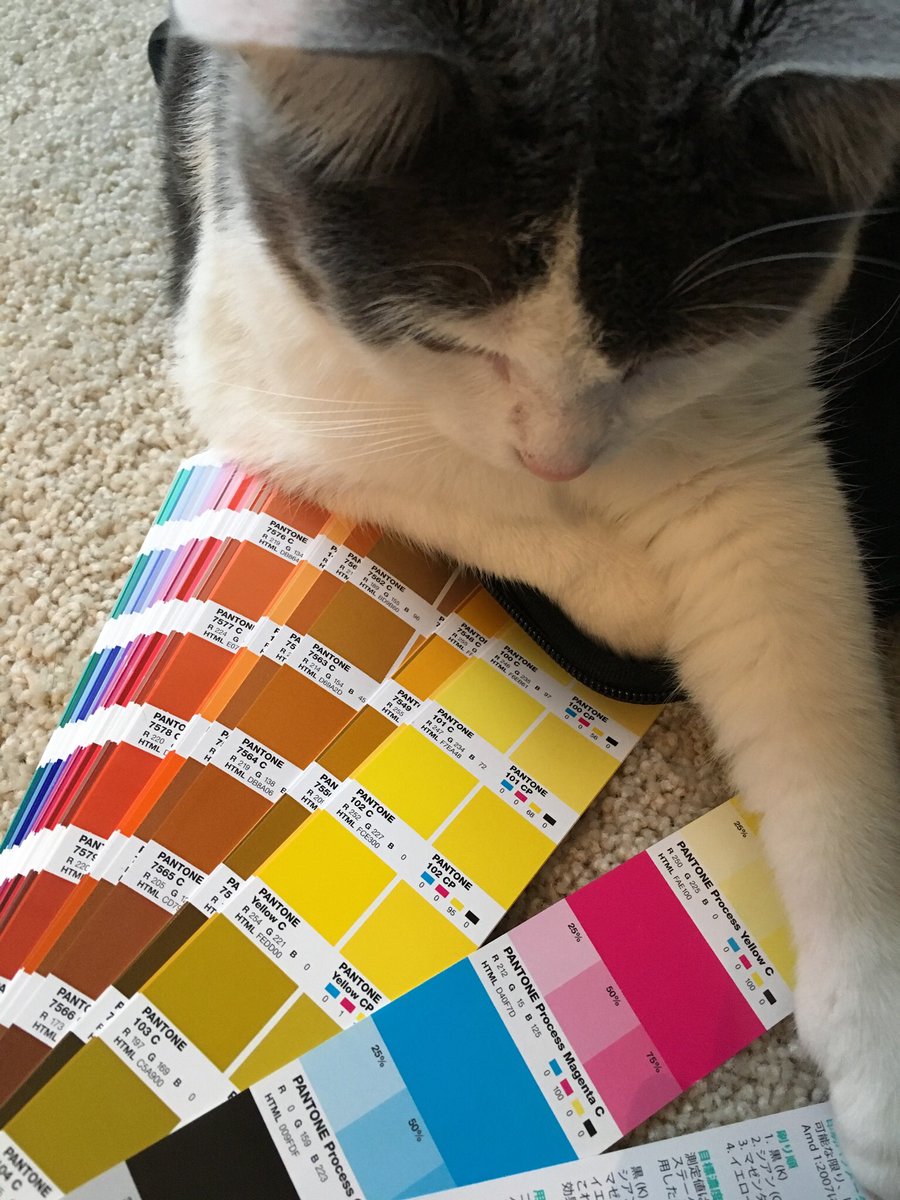 caseymuhs's tweet photo. Pantone color of the year is actually June Bug 😺 @pantone #coloroftheyear https://t.co/Qxw2CER885