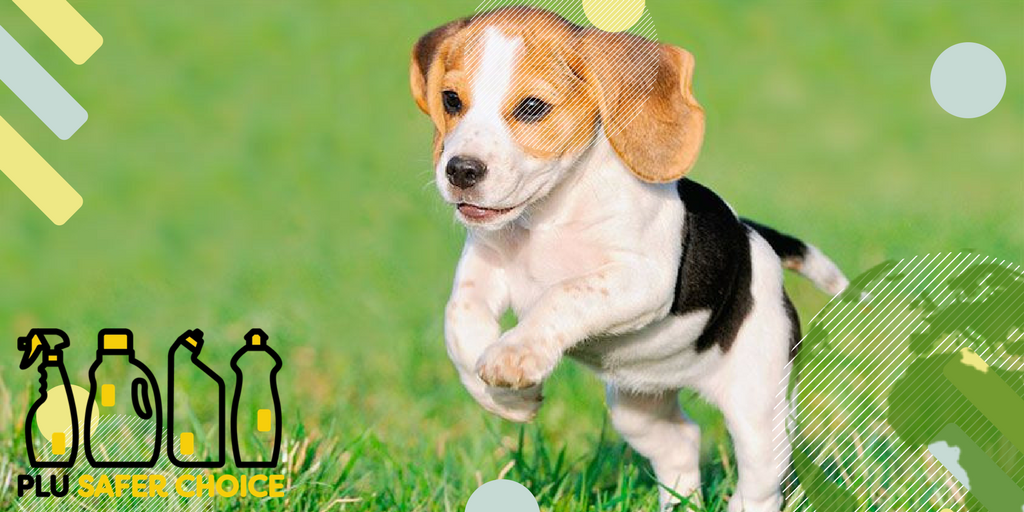 PLUSaferChoice's tweet photo. The products you use have a huge impact on our environment. Let’s keep the smiles on our puppies’ faces by keeping earth safe for all its inhabitants! #PLUsaferchoice https://t.co/XaoWpRr0Jx https://t.co/AqVPkTxnoB
