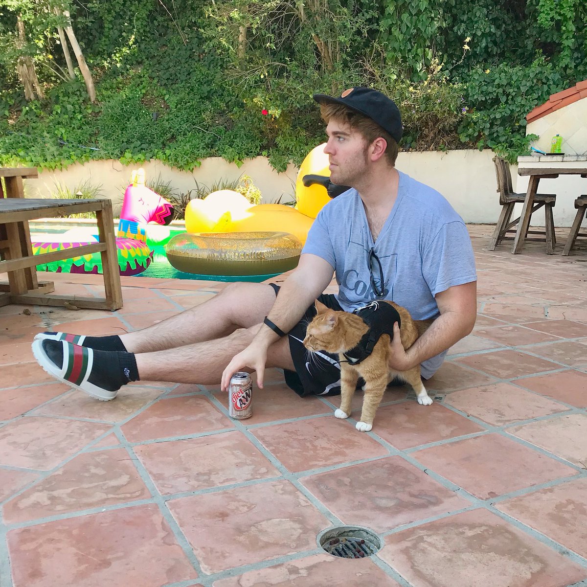 shanedawson's tweet image. just 2 creatures that weren’t made for the outside world.