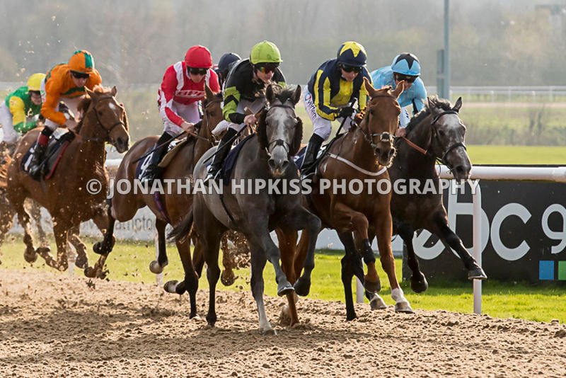 WolvesRacesPics's tweet image. Berkshire Royal wins 6.00 @WolvesRaces well done winning connections #AndrewBalding and #JasonWatson Pics available - phot.dk/o8rm/MU