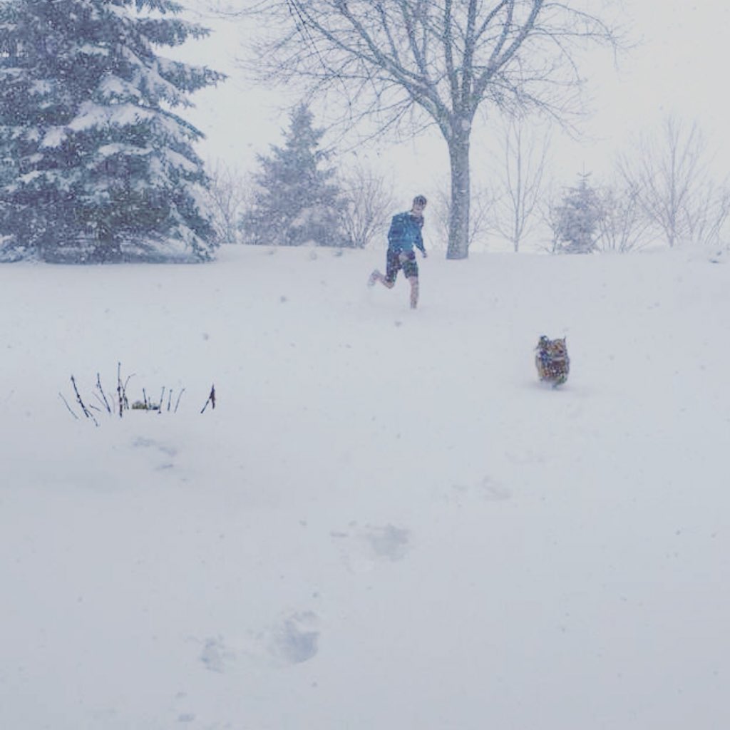 kerstinmarch's tweet image. If taking the dog out in April requires running through a thundering blizzard... while wearing shorts... you know you’re in #minnesota ! ❄️❄️❄️ #blizzard2018 #MinnesotaSpring #Snowmageddon #BoldNorth #UffDa