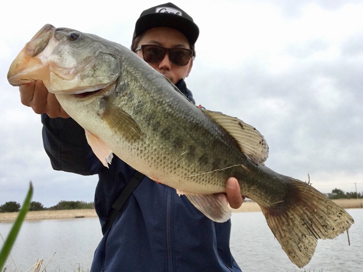 Taka 昨日八郎潟にて18年初バス やっと春がきました 八郎潟は今やっと水温10 ブラックバス バス釣り バスフィッシング 八郎潟 八郎潟バス釣り