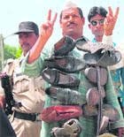 vip_sambaragi's tweet photo. Anna Bhagya #SCAMSTER loafer @dineshgrao Your #chappali #shoe garland is ready for all ur achivements.

U R what U R just because of your corrupt father.

#apologizetoYogi

#yogi #Adityanath  @myogiadityanath https://t.co/GE37TZ1a4O