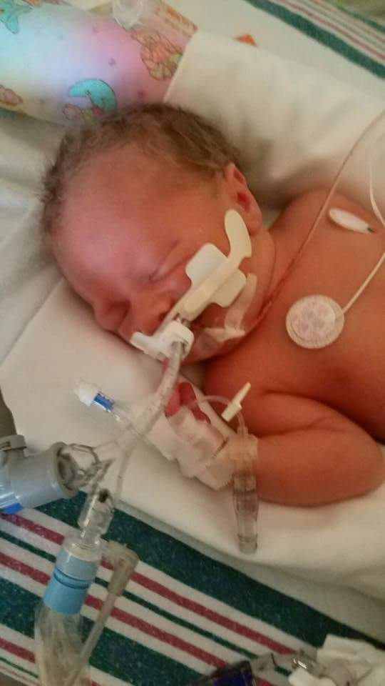 mrstitansanta's tweet photo. In April and May of 2017, we spent 40 days at the RMH due to our son, Titan, being born premature. We are blessed to have had the privilege of staying there, our home away from home. Call 6153347900 to donate to RMH. #CallsForKids @Titan_Santa @RMHCNashville https://t.co/dLrdzdynjV