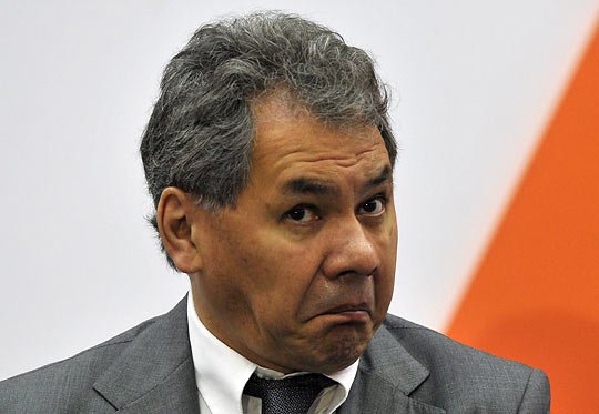 へ～。ロシアの国防長官のショイグさんって怖い顔のイメージしかなかったけど、こんなかわいい一面もあるんだね。