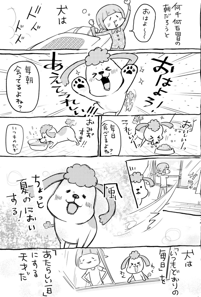 犬と猫どっちも飼ってると、一日のはじまりが真逆すぎて毎日たのしい 