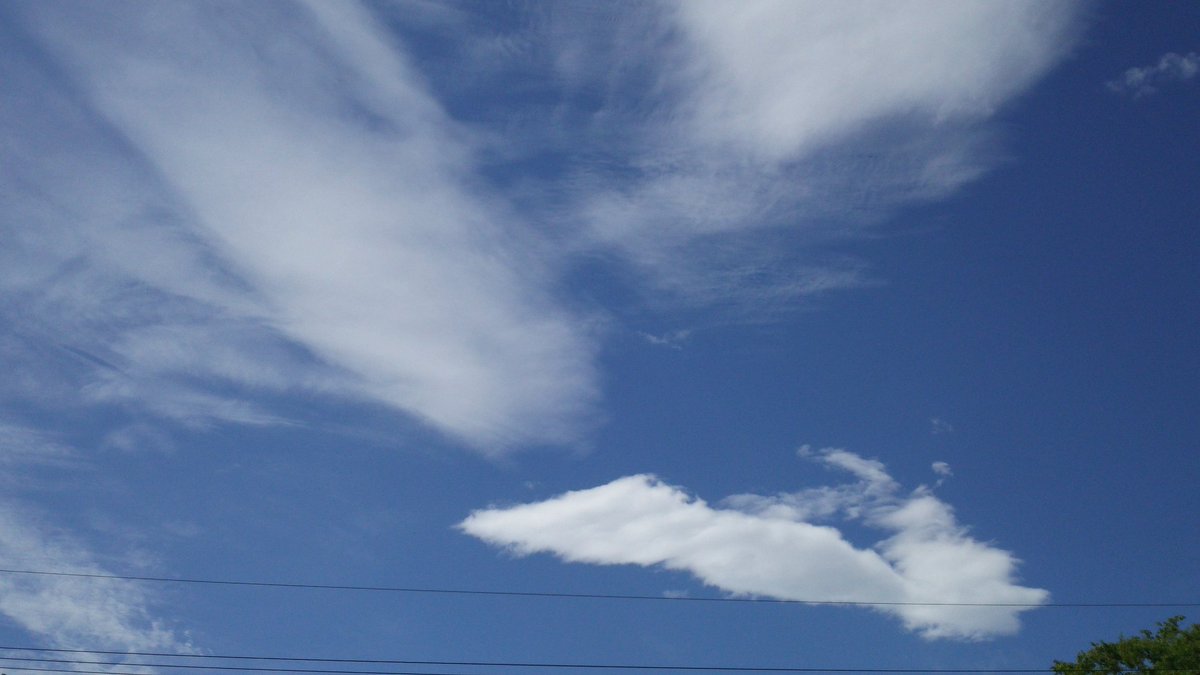 tedyree47475's tweet photo. おはようございます☀
雨上がりの空。
強い風に雲の流れが速いな。
モッコウバラが満開に🌹✨
黄色の花と一緒に見上げた空が気持ちいい日曜。
素敵な一日を~🎵
#イマソラ
#写真好きな人と繋がりたい
#花の風景 #Photo #flower #Sunday #Mytwitterfriend https://t.co/4FhUSknyki