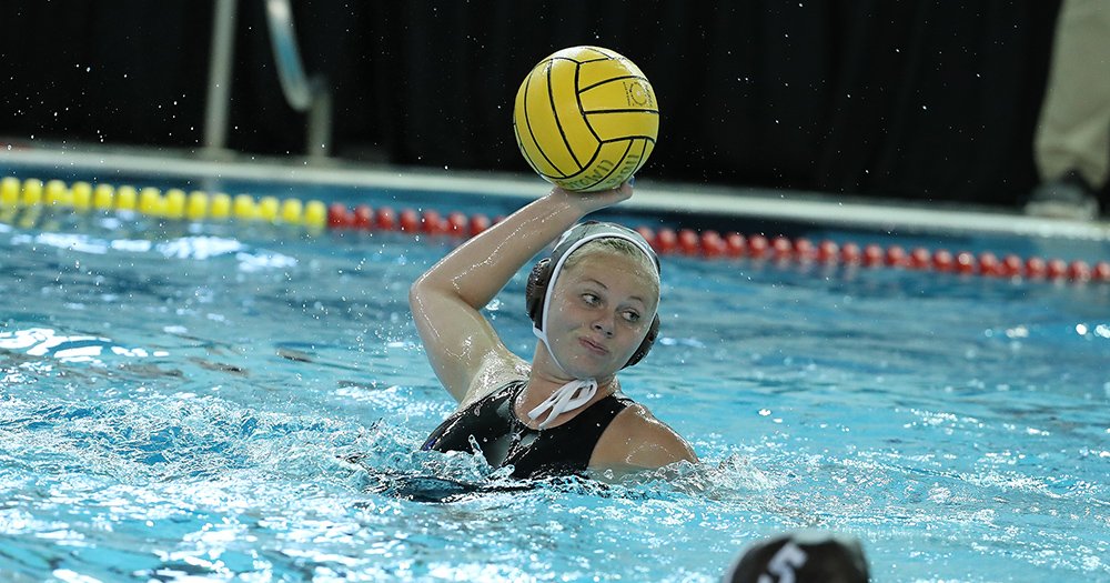 Brown Athletics tweet media