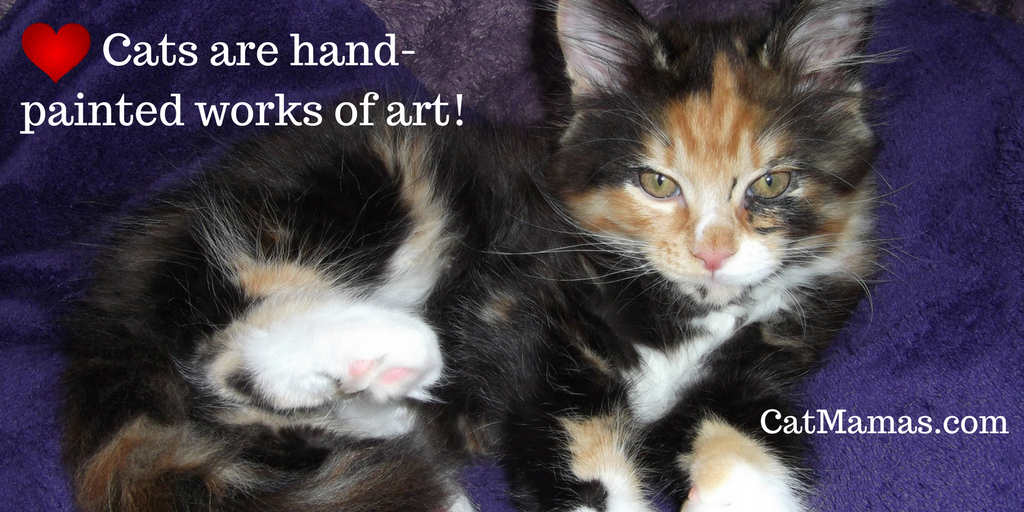 25 purrfectly natural reasons to love #cats | ❤ 11. #Kittens come into the world as hand-painted, furry works of #art.