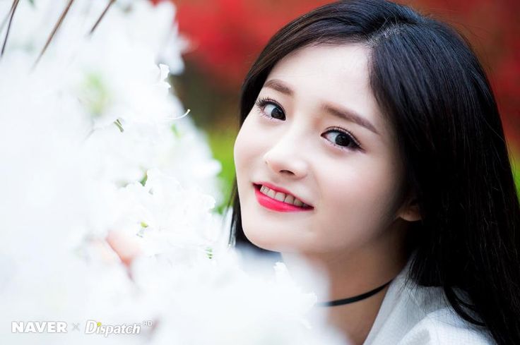 Sohee💕 tweet media