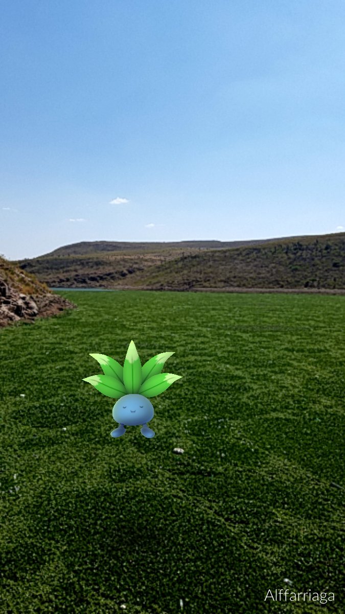 omyfredd's tweet photo. Photoshoot 📸
🍃 #Oddish
#pokemonrunway #PokemonGoMexico #PokemonGoSLP #PokemonGo #Nintendo @NianticLabs @PokemonGoApp #Gamer https://t.co/VRPhwluR95