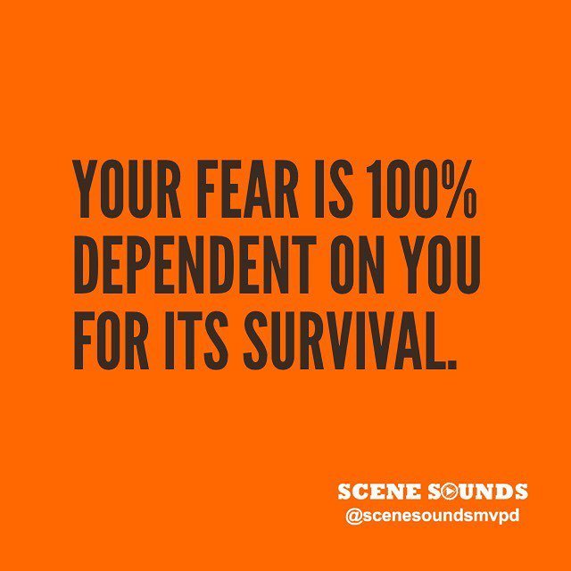 SceneSoundsMVPD's tweet photo. @scenesoundsmvpd—the music video giveaway for NYC music artists.
.
.
.
.
.
#scenesoundsmvpd #nycmusic #nyc #prizedraw #musicmanagement #talent #nycmusicians #musicvideo #brooklynmusic #win #hiphop #rappers #rockmusic #countrymusic #pop #rnb #giveaway https://t.co/pMYOwJ4wrQ https://t.co/elqKxmy2CR
