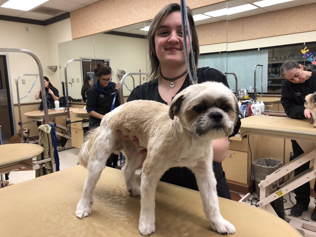 Kaleigh #store1225 #northeastgrooming  #extrememakeover #snj