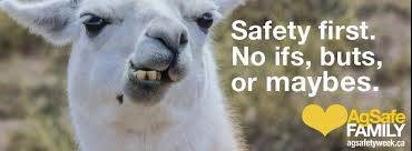 This llama says it all. Find out how you can keep your family safe: happens.nz