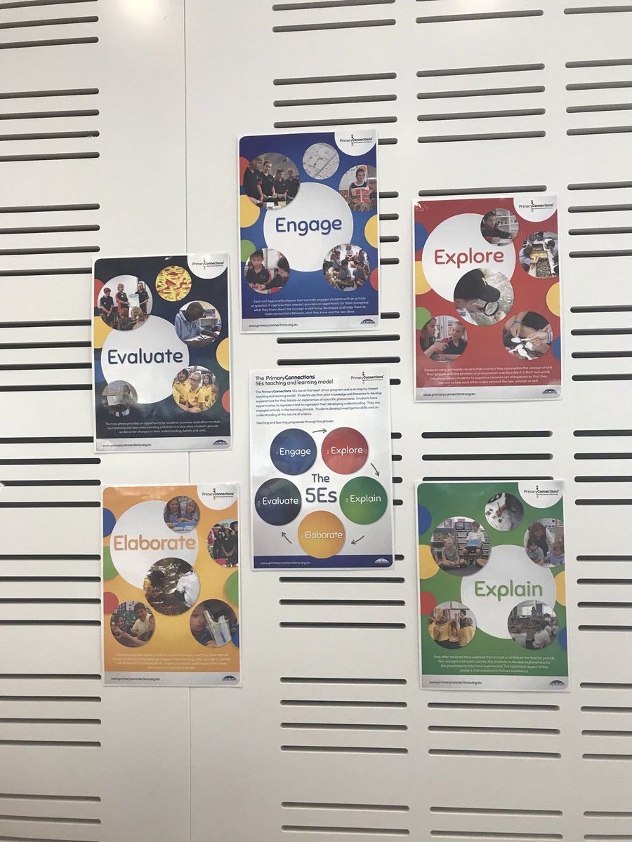 Sarah Whalan tweet media