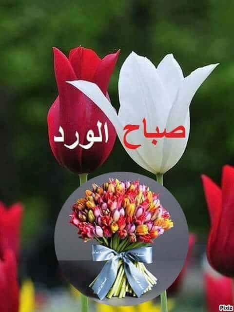 <a href="/AkramaJuamh/">jumah</a>