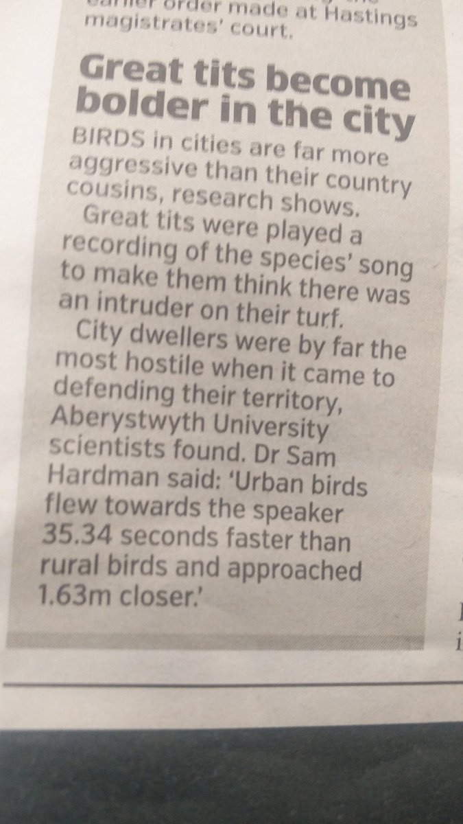 Saw this article on the tube and instantly thought of @CasualBirderPod 😉