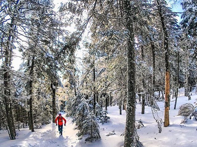 RunnersLand's tweet image. Nature Therapy
•
#Photo @dkcoopertremblant
•
Welcome to #RunnerLand⠀
•
Lets #follow us | tag #RunnerLand on your photos | Turn on our post notifications for features 👍|