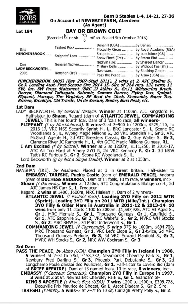 RafflesRacing's tweet photo. Looking fwd 2 continuing our success with @Chinahorseclub after G1 winners #FIRSTSEAL & #PRESSSTATEMENT with this @mickwallace @WaterfordBldstk purchased well related HINCHINBROOK colt from @NewgateFarm, together with new partner @WinStarCEO to be trained by @SnowdenRacing1 ๐ https://t.co/Up8wBCCBTF