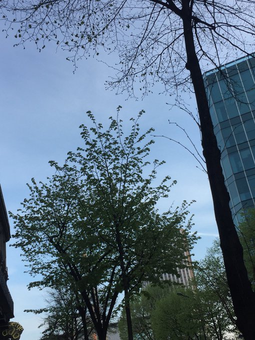 OMG some sun in paris today ☀️ https://t.co/SyETfjTO2w<a href="/tag/valid%C3%A9"class="tags"><span>#valid&eacute;</span></a><a href="/tag/onvasecrasher"class="tags"><span>#onvasecrasher</span></a>