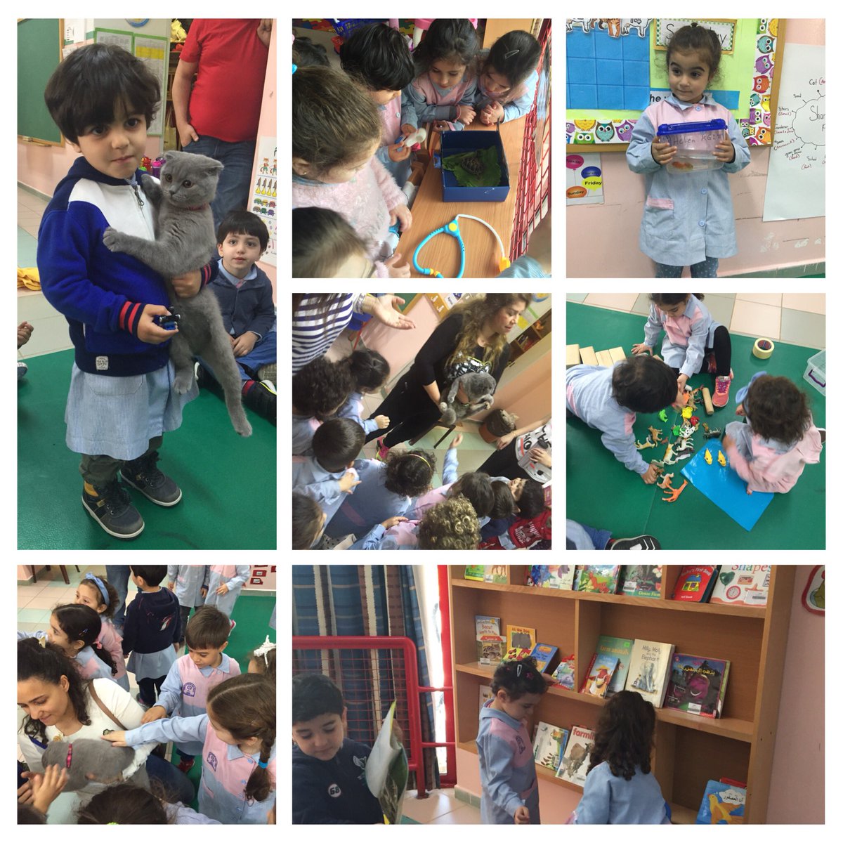 abeerbsat75's tweet photo. Children, whether they have pets in the home or not, appear to be innately drawn to the world of non- human animals (Melson 2001) and therefore, are highly engaged in learning about them #sharing the planet #animals# Provocation #Kg1B @Hhhsinfo @tbaassiri https://t.co/Vjs6z9OZ5V