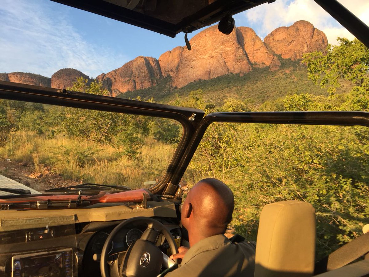 MelodyMiyaVibe's tweet image. What an amazing experience at Marekele SA National Park 😭 @SANParks this weekend.

Our Park guide Sidney Mikosi is probably the best guide in the country 🙌🏾🙌🏾🙌🏾. 

#LiveYourWild #BushBreak #SANParks