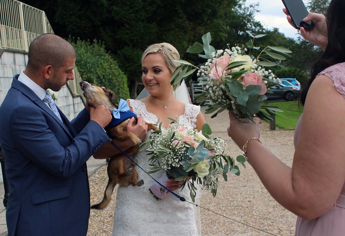 weddingdogsitt1's tweet image. Would you like your dog at your #wedding without the stress.
                                   on.fb.me/1vEiMZZ