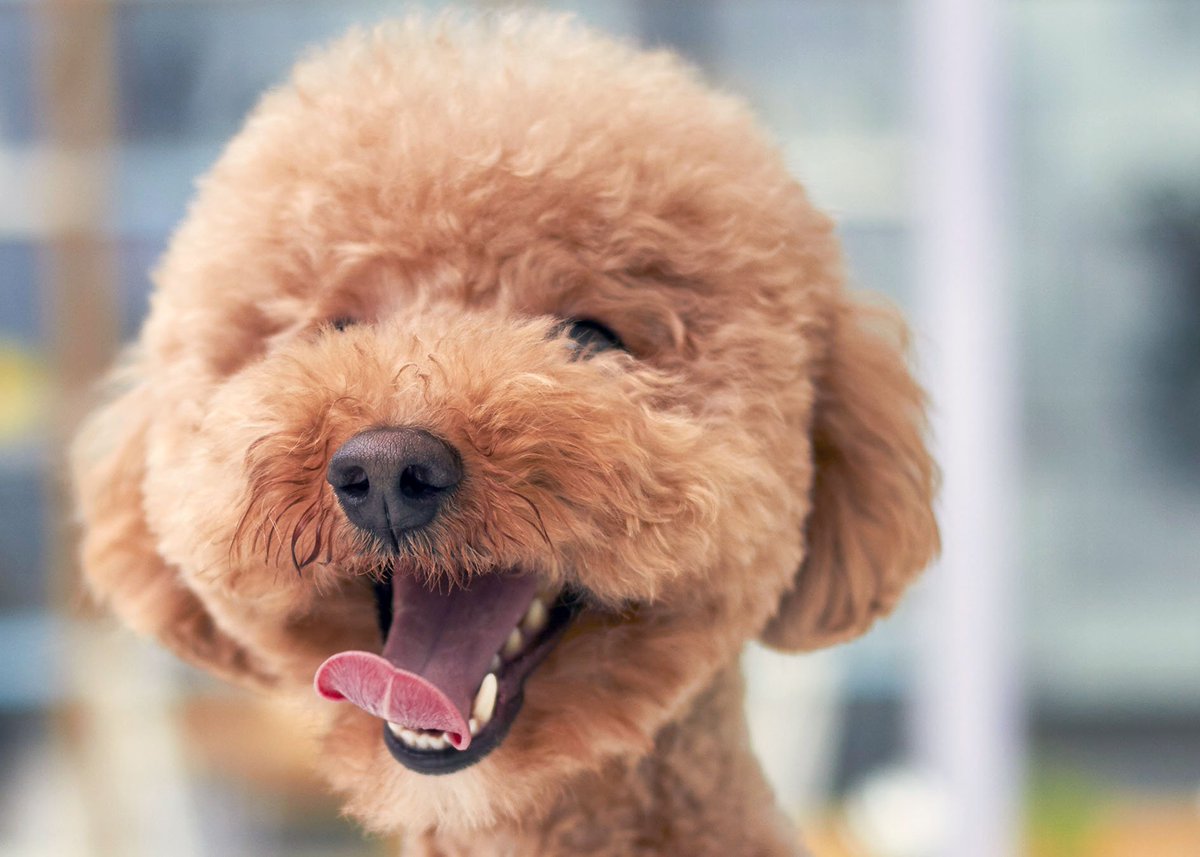 FgdDesign's tweet image. #SundayFunday Have a good one.
                                   on.fb.me/1vEiMZZ