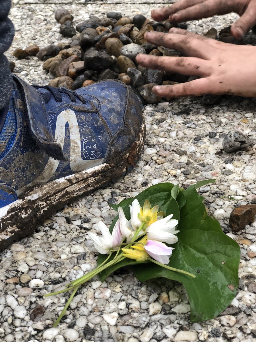 ‘Just living is not enough... one must have sunshine, freedom, and a little flower.’ Hans Christian Andersen #ispIB #inquirers <a href="/ManorAdventure/">Manor Adventure</a>