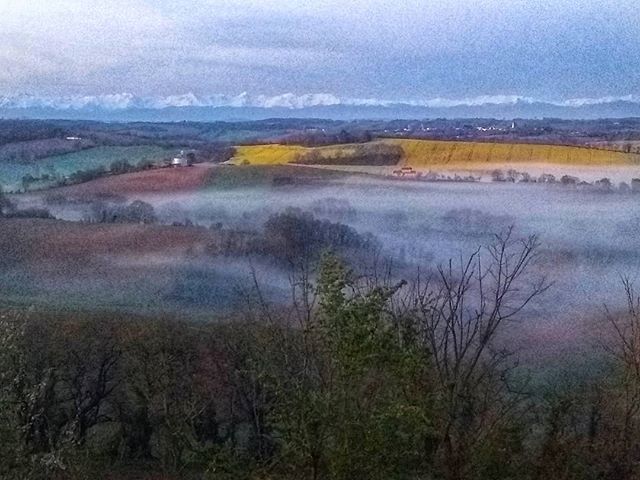 davegibsonphoto's tweet image. Early morning mist riding from the fields. Today is gonna be the first real warm day of the year 😁👍 #mist #misty #mistyfields #mistymorning #distantpyrenees ift.tt/2qym7kk